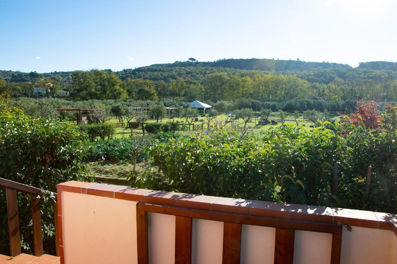 אשאה Iscairia Country House מראה חיצוני תמונה
